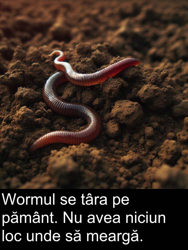 pământ: Wormul se târa pe pământ. Nu avea niciun loc unde să meargă.