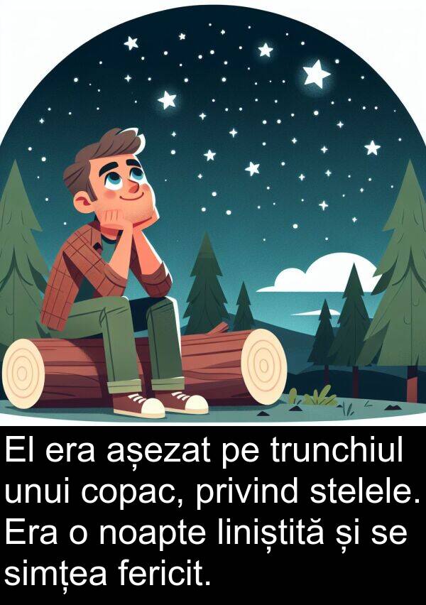 noapte: El era așezat pe trunchiul unui copac, privind stelele. Era o noapte liniștită și se simțea fericit.