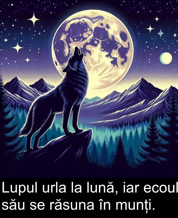 ecoul: Lupul urla la lună, iar ecoul său se răsuna în munți.