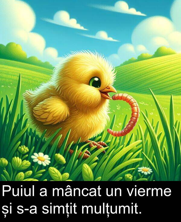 mâncat: Puiul a mâncat un vierme și s-a simțit mulțumit.