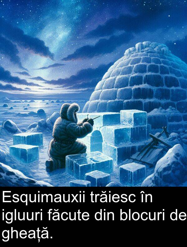 făcute: Esquimauxii trăiesc în igluuri făcute din blocuri de gheață.