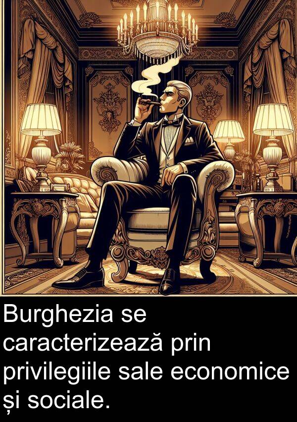 economice: Burghezia se caracterizează prin privilegiile sale economice și sociale.