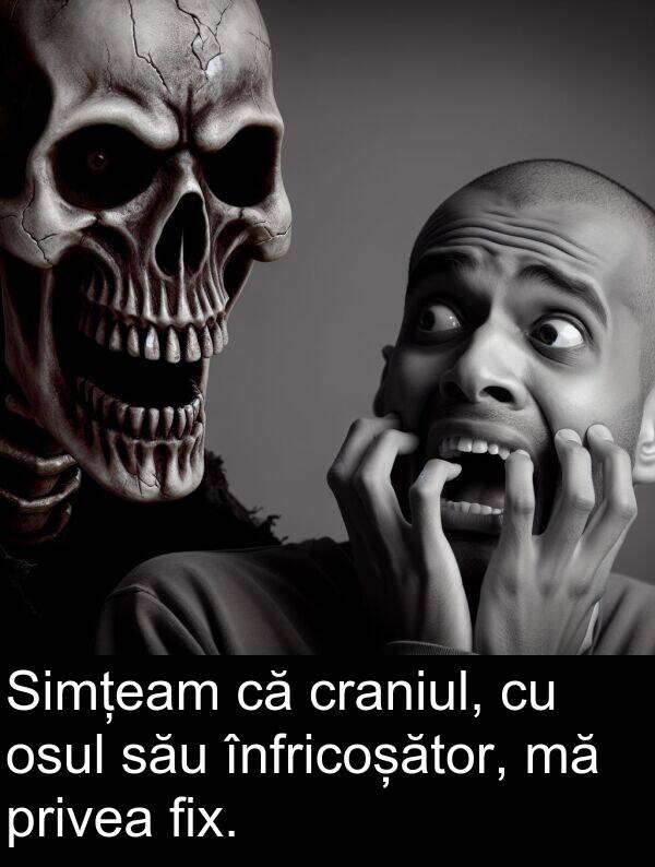 osul: Simțeam că craniul, cu osul său înfricoșător, mă privea fix.