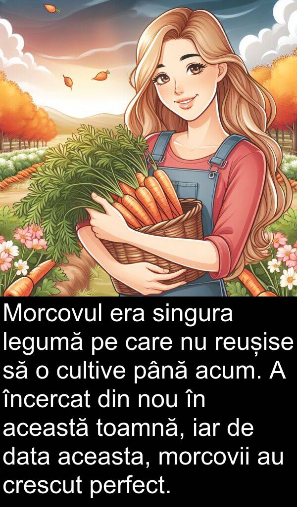 aceasta: Morcovul era singura legumă pe care nu reușise să o cultive până acum. A încercat din nou în această toamnă, iar de data aceasta, morcovii au crescut perfect.