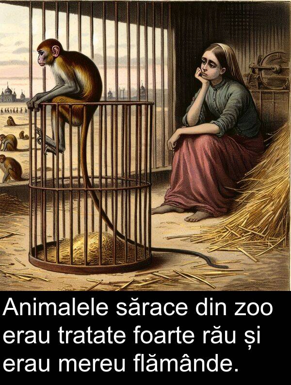 zoo: Animalele sărace din zoo erau tratate foarte rău și erau mereu flămânde.