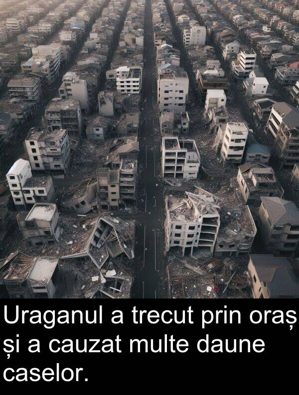 daune: Uraganul a trecut prin oraș și a cauzat multe daune caselor.
