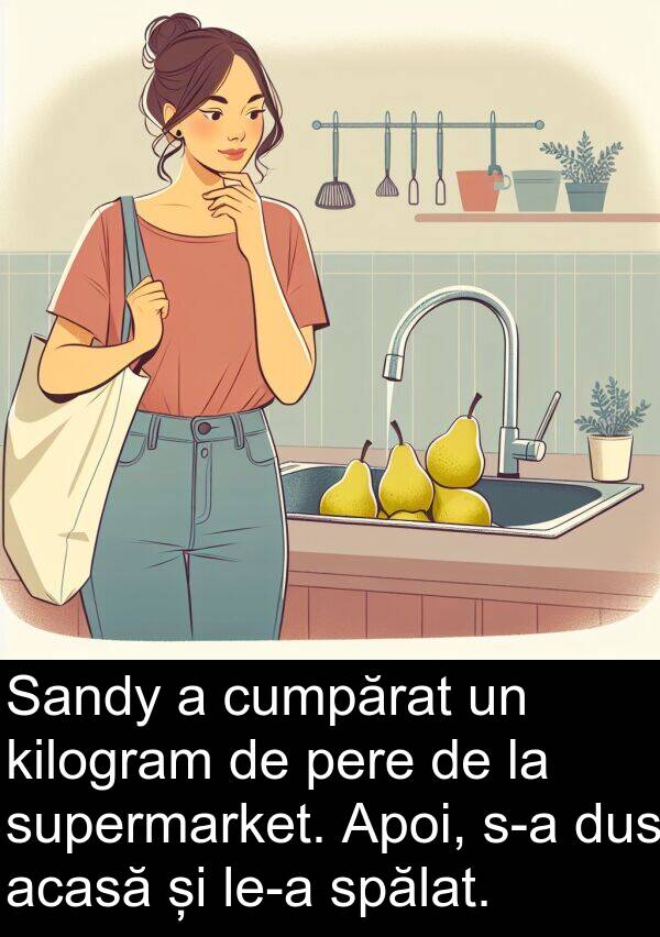 acasă: Sandy a cumpărat un kilogram de pere de la supermarket. Apoi, s-a dus acasă și le-a spălat.