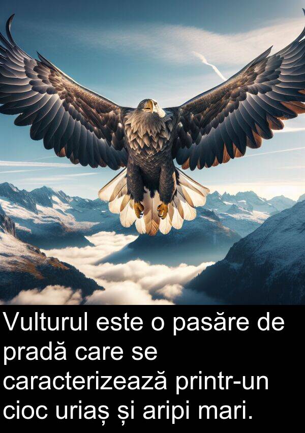 mari: Vulturul este o pasăre de pradă care se caracterizează printr-un cioc uriaș și aripi mari.