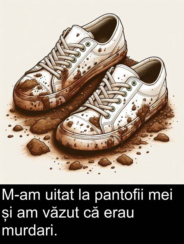 văzut: M-am uitat la pantofii mei și am văzut că erau murdari.