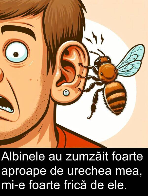 zumzăit: Albinele au zumzăit foarte aproape de urechea mea, mi-e foarte frică de ele.