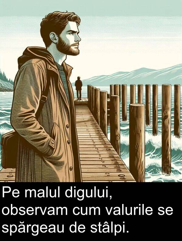 observam: Pe malul digului, observam cum valurile se spărgeau de stâlpi.