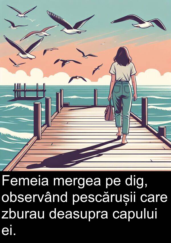 observând: Femeia mergea pe dig, observând pescărușii care zburau deasupra capului ei.