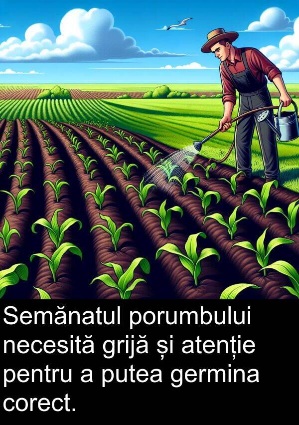 necesită: Semănatul porumbului necesită grijă și atenție pentru a putea germina corect.