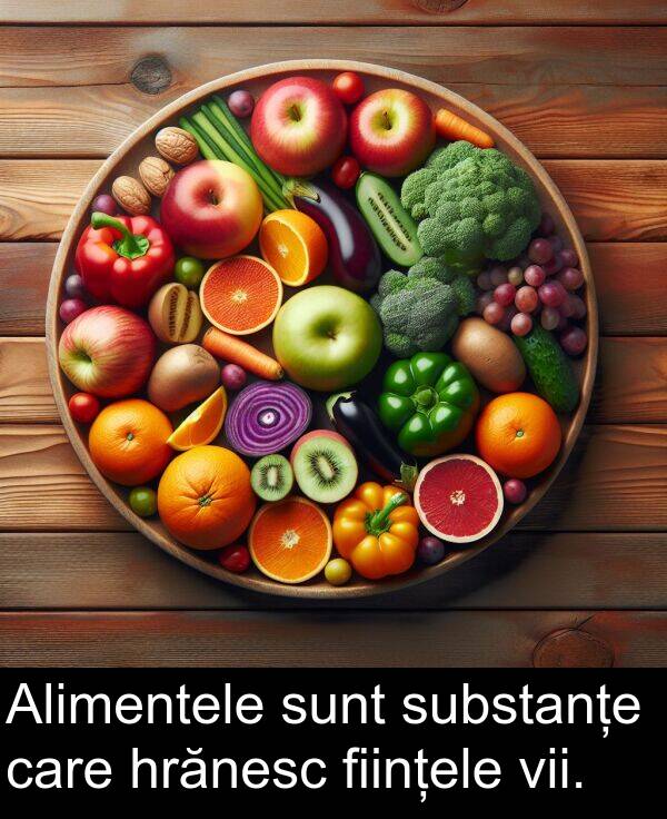 ființele: Alimentele sunt substanțe care hrănesc ființele vii.