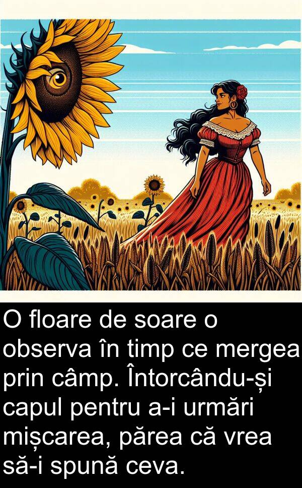 câmp: O floare de soare o observa în timp ce mergea prin câmp. Întorcându-și capul pentru a-i urmări mișcarea, părea că vrea să-i spună ceva.
