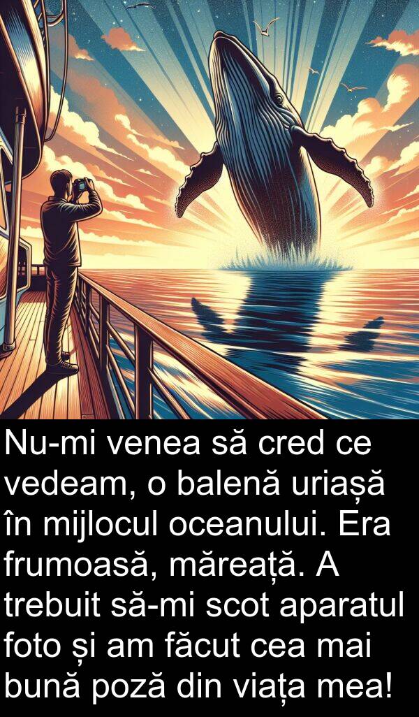 oceanului: Nu-mi venea să cred ce vedeam, o balenă uriașă în mijlocul oceanului. Era frumoasă, măreață. A trebuit să-mi scot aparatul foto și am făcut cea mai bună poză din viața mea!