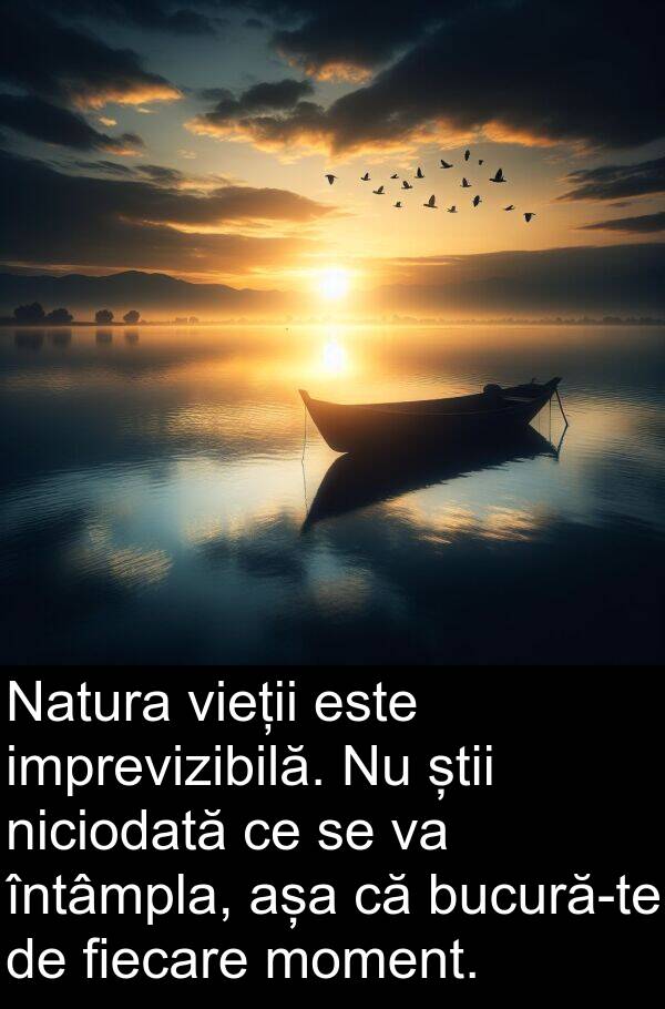 știi: Natura vieții este imprevizibilă. Nu știi niciodată ce se va întâmpla, așa că bucură-te de fiecare moment.