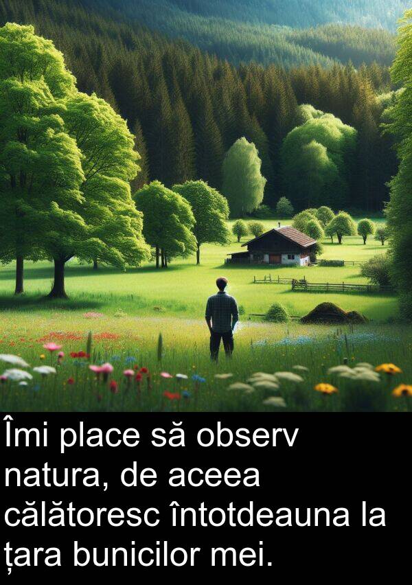 călătoresc: Îmi place să observ natura, de aceea călătoresc întotdeauna la țara bunicilor mei.