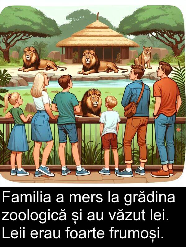 zoologică: Familia a mers la grădina zoologică și au văzut lei. Leii erau foarte frumoși.