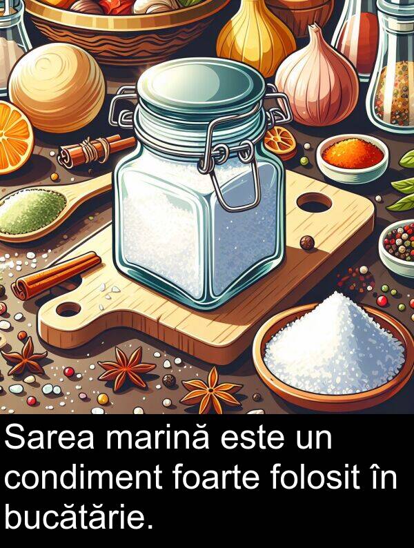 marină: Sarea marină este un condiment foarte folosit în bucătărie.