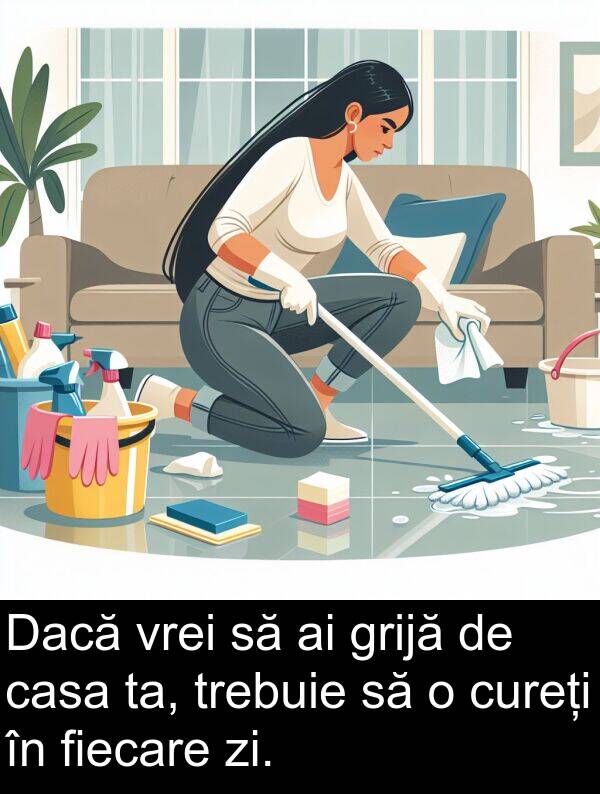 zi: Dacă vrei să ai grijă de casa ta, trebuie să o cureți în fiecare zi.