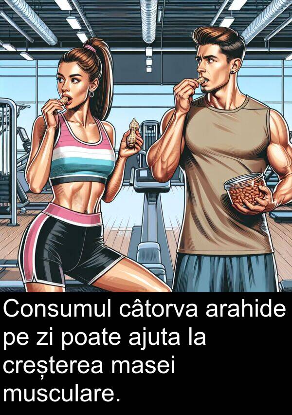 musculare: Consumul câtorva arahide pe zi poate ajuta la creșterea masei musculare.