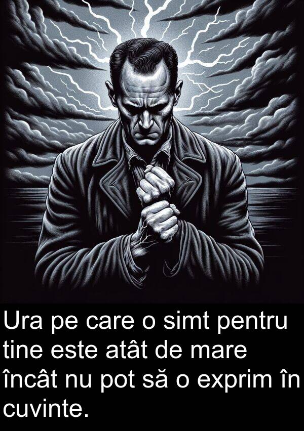 pot: Ura pe care o simt pentru tine este atât de mare încât nu pot să o exprim în cuvinte.