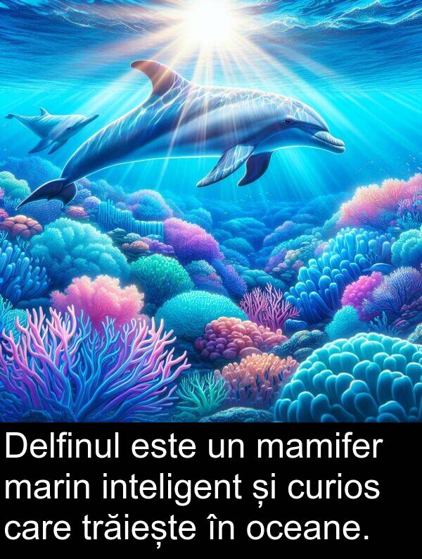 oceane: Delfinul este un mamifer marin inteligent și curios care trăiește în oceane.
