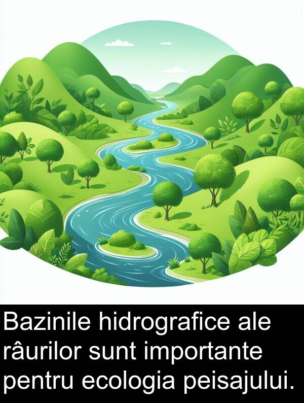 ecologia: Bazinile hidrografice ale râurilor sunt importante pentru ecologia peisajului.