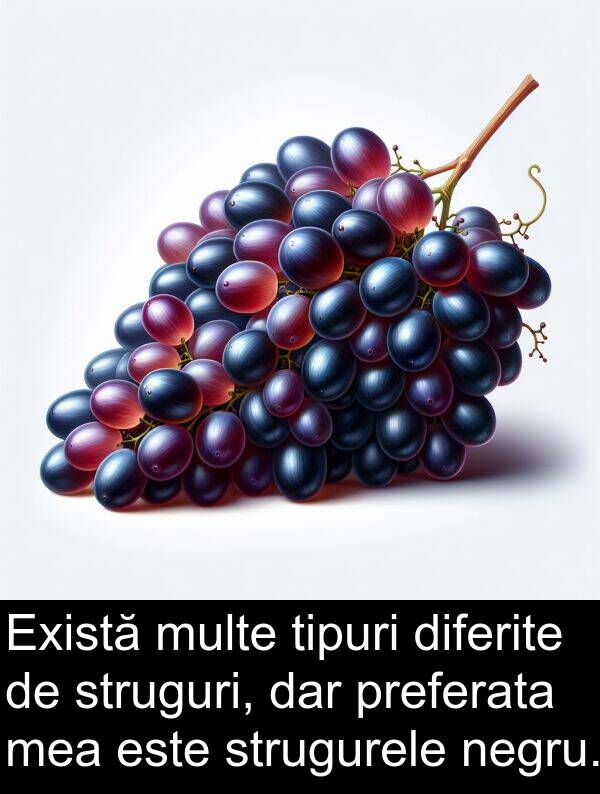 struguri: Există multe tipuri diferite de struguri, dar preferata mea este strugurele negru.