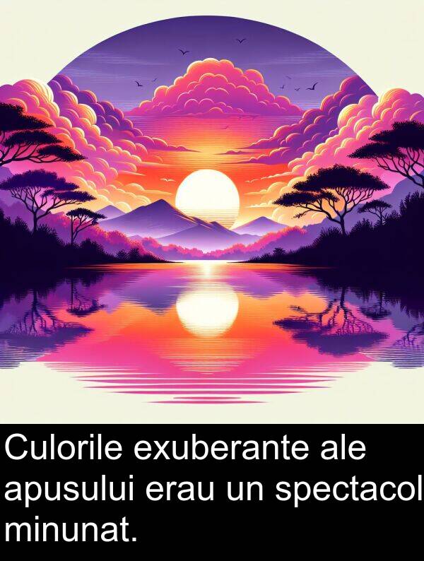 erau: Culorile exuberante ale apusului erau un spectacol minunat.