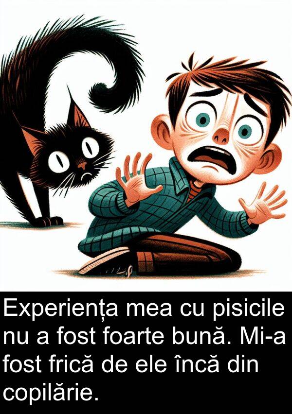 încă: Experiența mea cu pisicile nu a fost foarte bună. Mi-a fost frică de ele încă din copilărie.
