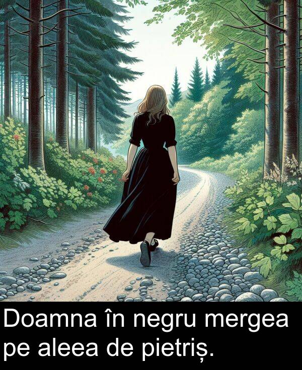pietriș: Doamna în negru mergea pe aleea de pietriș.