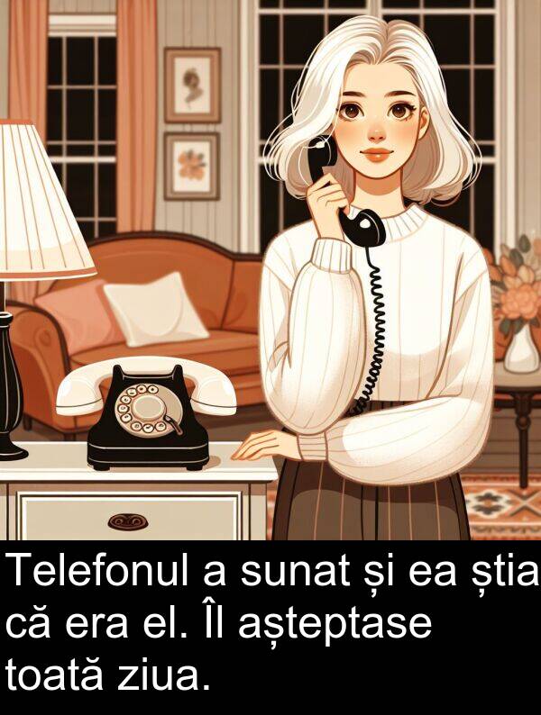 el: Telefonul a sunat și ea știa că era el. Îl așteptase toată ziua.