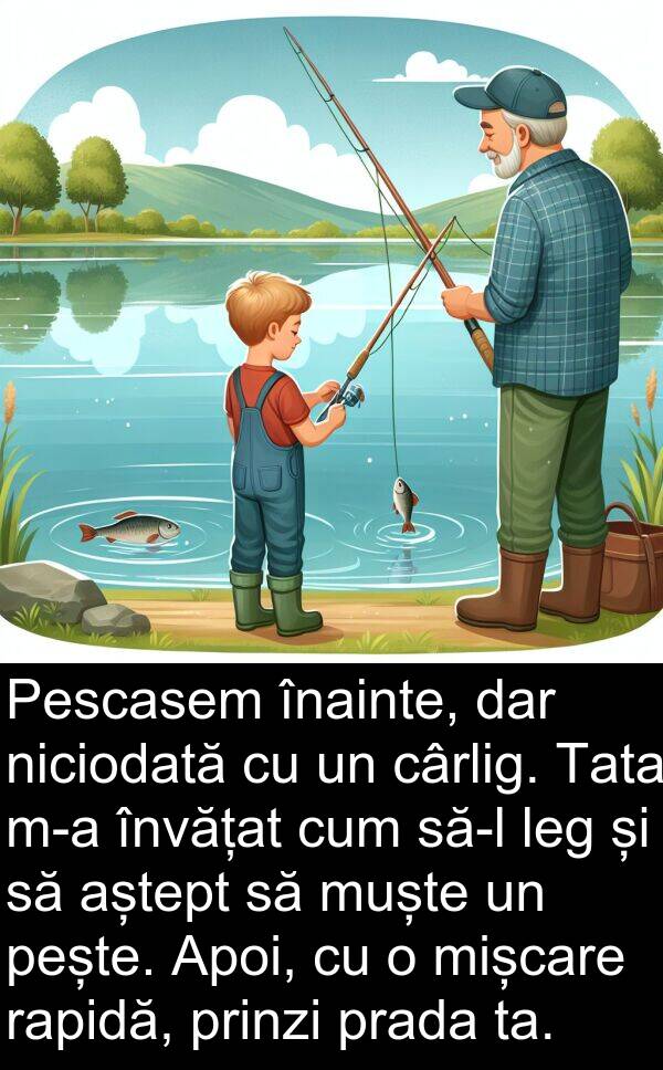 rapidă: Pescasem înainte, dar niciodată cu un cârlig. Tata m-a învățat cum să-l leg și să aștept să muște un pește. Apoi, cu o mișcare rapidă, prinzi prada ta.