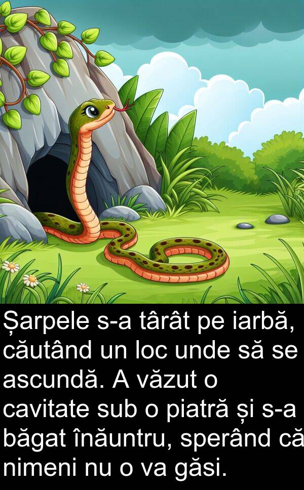băgat: Șarpele s-a târât pe iarbă, căutând un loc unde să se ascundă. A văzut o cavitate sub o piatră și s-a băgat înăuntru, sperând că nimeni nu o va găsi.