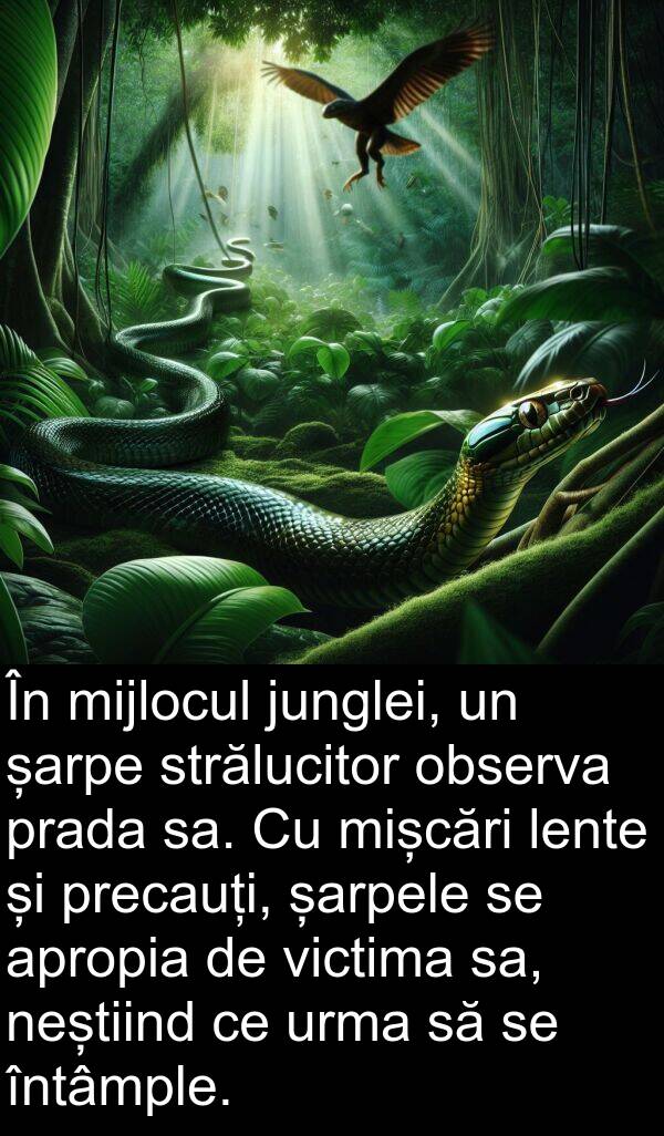 șarpe: În mijlocul junglei, un șarpe strălucitor observa prada sa. Cu mișcări lente și precauți, șarpele se apropia de victima sa, neștiind ce urma să se întâmple.