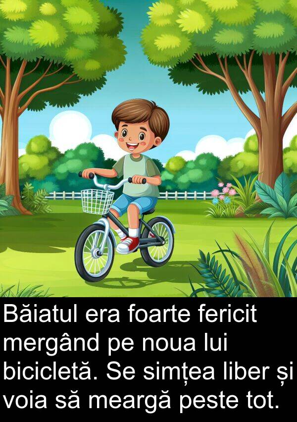 voia: Băiatul era foarte fericit mergând pe noua lui bicicletă. Se simțea liber și voia să meargă peste tot.