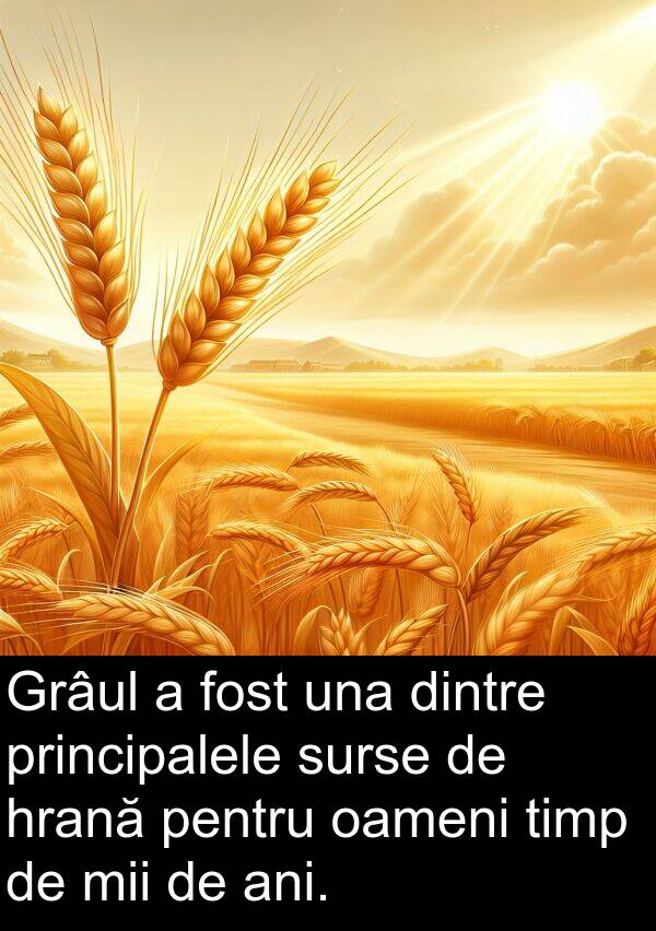 una: Grâul a fost una dintre principalele surse de hrană pentru oameni timp de mii de ani.