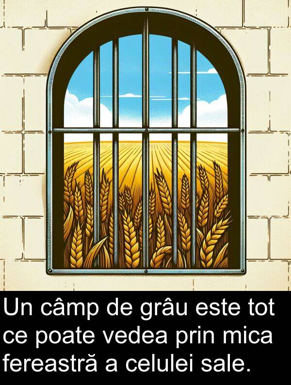 câmp: Un câmp de grâu este tot ce poate vedea prin mica fereastră a celulei sale.