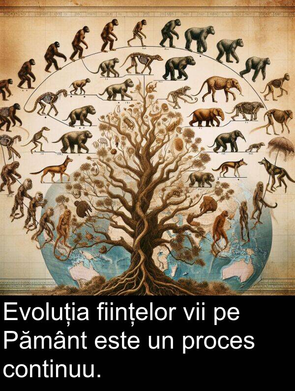 continuu: Evoluția ființelor vii pe Pământ este un proces continuu.