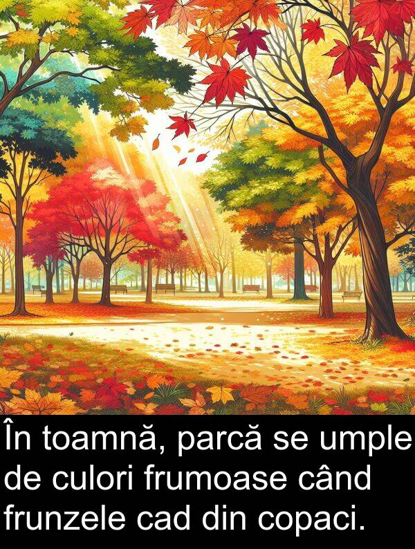 umple: În toamnă, parcă se umple de culori frumoase când frunzele cad din copaci.