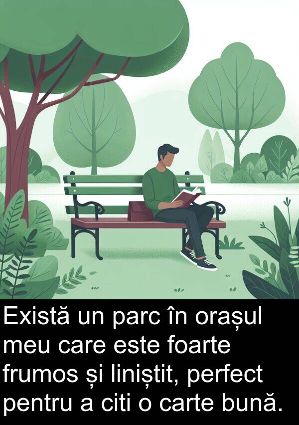 bună: Există un parc în orașul meu care este foarte frumos și liniștit, perfect pentru a citi o carte bună.