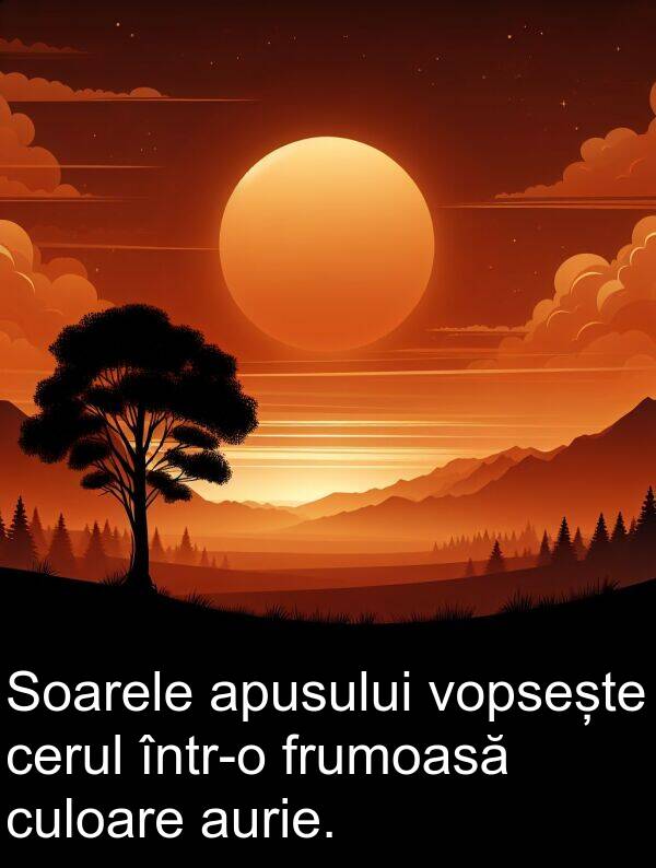 culoare: Soarele apusului vopsește cerul într-o frumoasă culoare aurie.