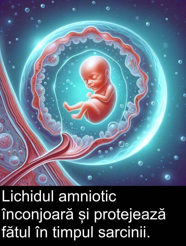 sarcinii: Lichidul amniotic înconjoară și protejează fătul în timpul sarcinii.