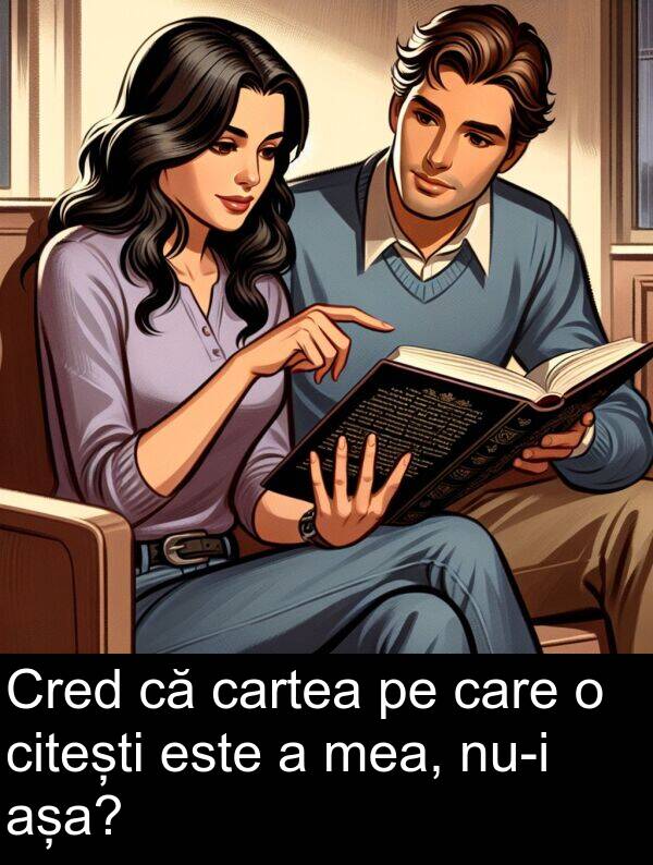 cartea: Cred că cartea pe care o citești este a mea, nu-i așa?