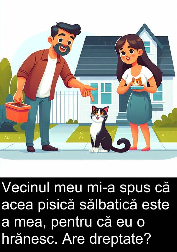 dreptate: Vecinul meu mi-a spus că acea pisică sălbatică este a mea, pentru că eu o hrănesc. Are dreptate?
