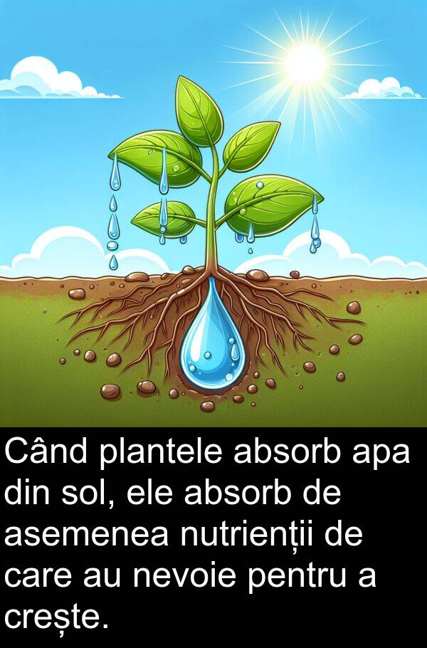 absorb: Când plantele absorb apa din sol, ele absorb de asemenea nutrienții de care au nevoie pentru a crește.