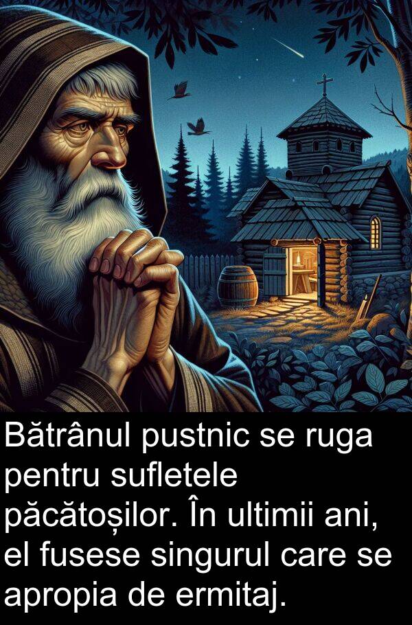 păcătoșilor: Bătrânul pustnic se ruga pentru sufletele păcătoșilor. În ultimii ani, el fusese singurul care se apropia de ermitaj.