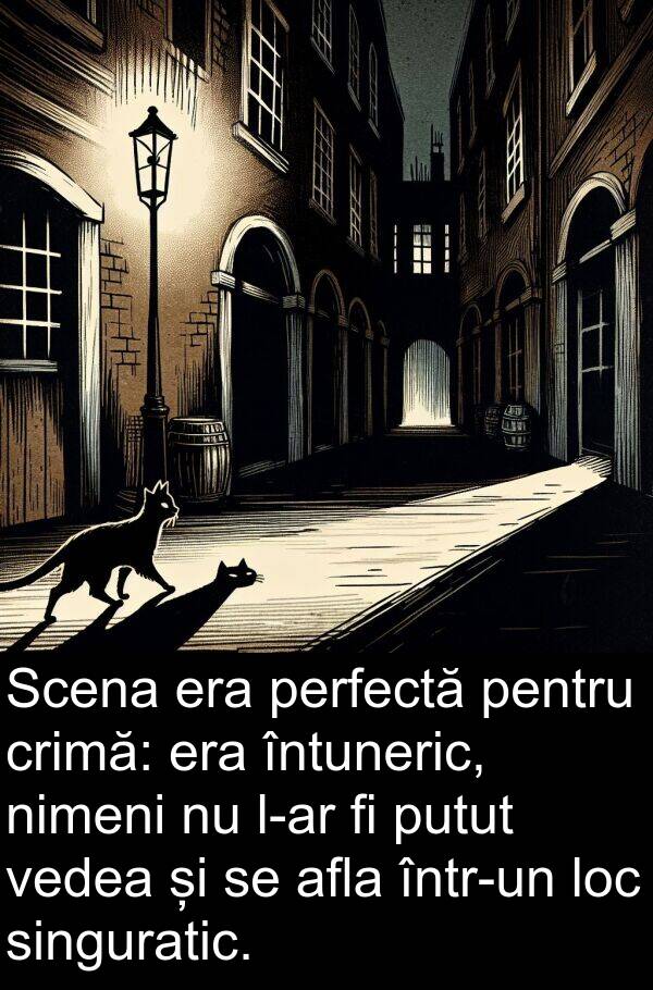 vedea: Scena era perfectă pentru crimă: era întuneric, nimeni nu l-ar fi putut vedea și se afla într-un loc singuratic.